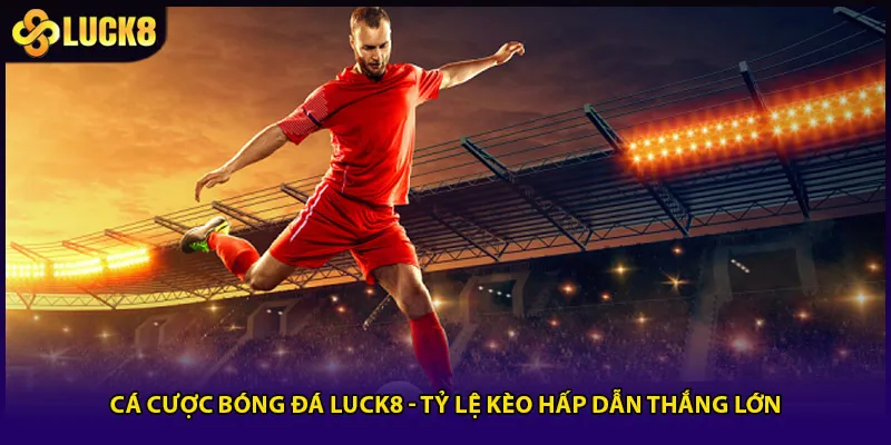Cá Cược Bóng Đá Luck8 - Tỷ Lệ Kèo Hấp Dẫn Thắng Lớn
